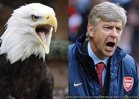 Which All-Time Great Arsenal "The Invincibles" Player Are You? Take this quiz and find out today!