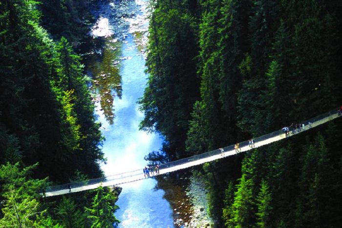 Which Vancouver Neighbourhood do you belong in? Take this quiz and find out today!