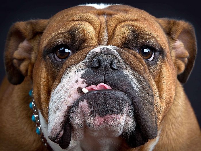 Which Ivy league school should you actually attend? Take this quiz and find out today!