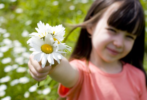 If we were all as good as we thought we were, the world would be all roses and rainbows. How good of a person are you really? Dare to take the quiz to find out?