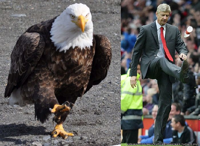 Which All-Time Great Arsenal "The Invincibles" Player Are You? Take this quiz and find out today!