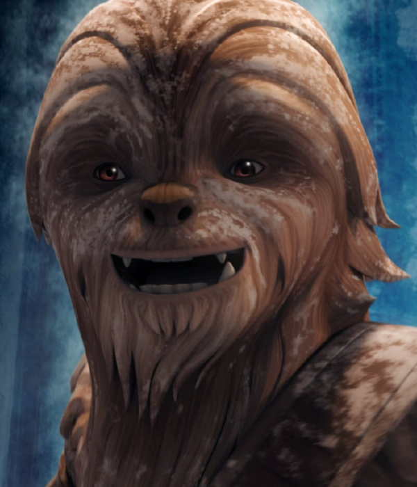 You don't quite know his/her real identity but you have a sneaking suspicion deep down in your midi-chlorian filled gut! Use your foresite and take this quiz today!