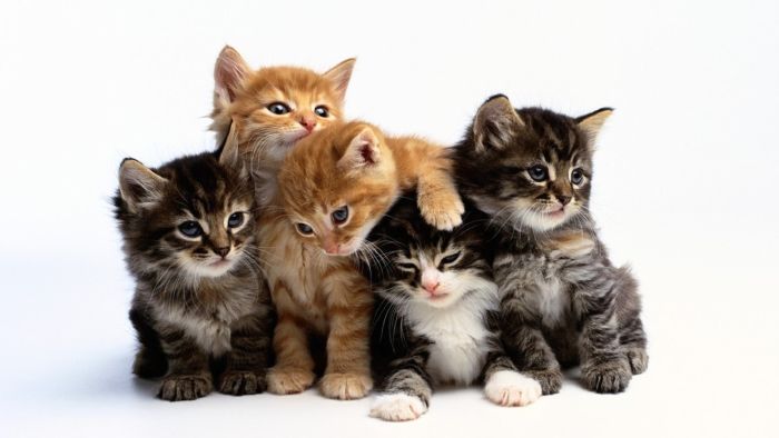 What kind of Old Person will you grow up to be? Take this quiz and find out today!
