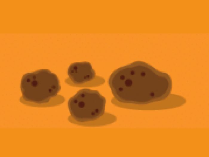 What does the texture of your poop tell you about your health? Take this quiz and find out today!