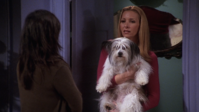 How Well Do You Remember The F.R.I.E.N.D.S. Thanksgiving Episodes? Take this quiz and find out today!