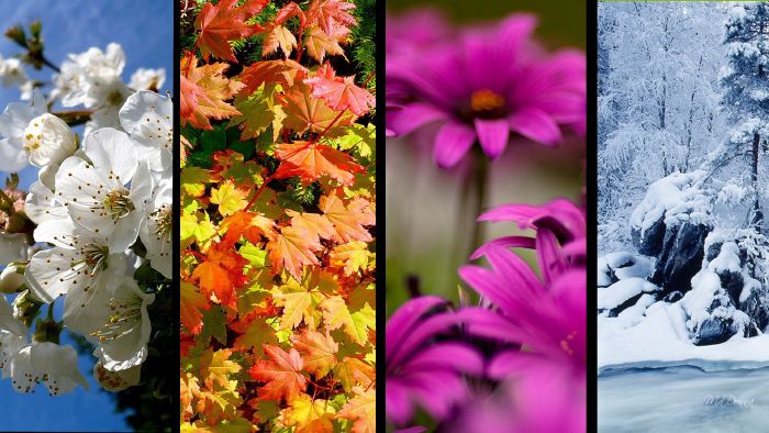 What season are you? I mean what season are you really? We can’t all be summer or spring! Take this quiz to find out which season matches your personality best.