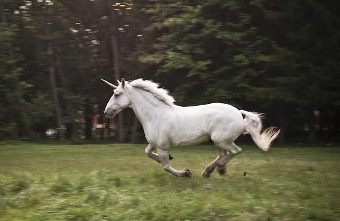 Which Marcus Aurelius Quote Should Be Your Motto? Take this quiz and find out today!