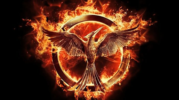 Which Dystopian World Would You Survive In? Take this quiz and find out today!