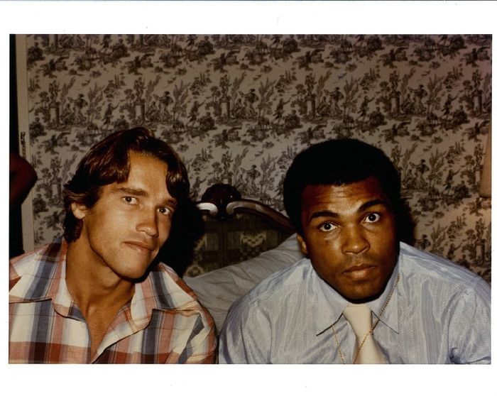 Float Like A Butterfly, Sting Like A Bee... Which Muhammad Ali Quote Should Be Your Motto? Take this quiz and find out today!