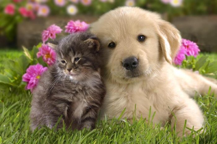 What season are you? I mean what season are you really? We can’t all be summer or spring! Take this quiz to find out which season matches your personality best.