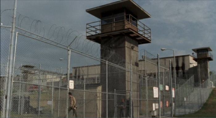 Which survivor from The Walking Dead are you? Take this quiz and find out today!