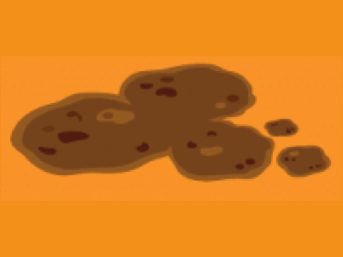 What does the texture of your poop tell you about your health? Take this quiz and find out today!