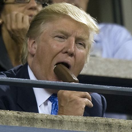 Like the genetic result of mating a golden marmoset with an old grey donkey, Donald Trump's hair is both intriguing and mysterious. Take this quiz to find the answer to that eternal question that has stumped philosophers for decades. Which Donald Trump Hair Are You Really?