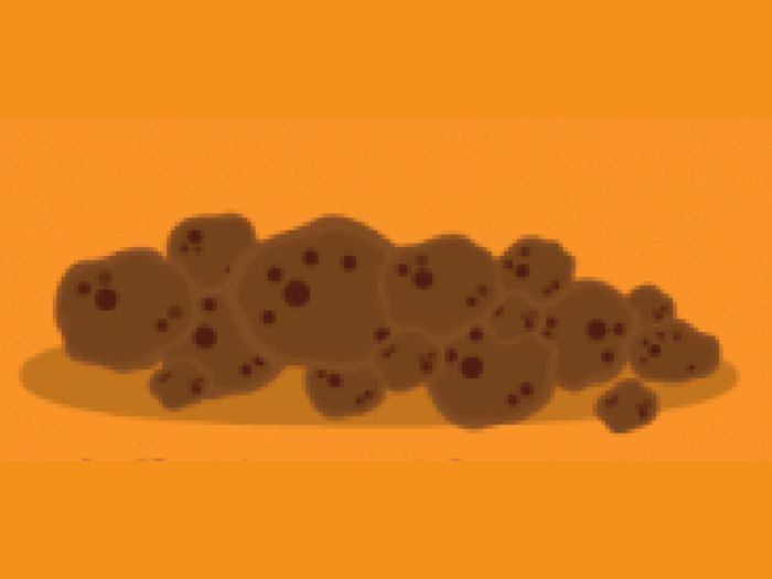 What does the texture of your poop tell you about your health? Take this quiz and find out today!