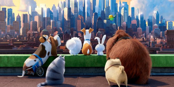 Which The Secret life Of Pets Character Are You? Take this quiz and find out today!