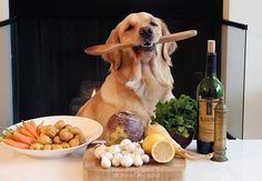 What lame joke should you tell everyone at the table during Thanksgiving dinner? Take this quiz and find out today!