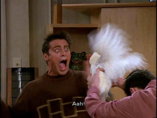 Which friend from F.R.I.E.N.D.S. should be your roommate? Take this quiz and find out today!
